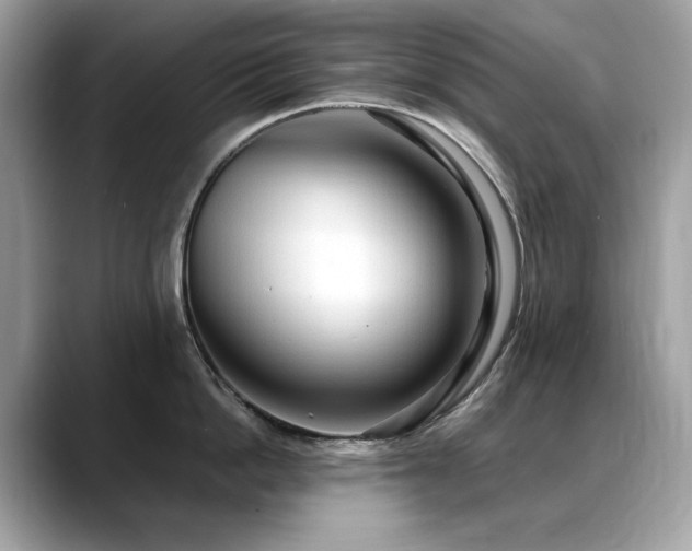 X0000088740862200705311446