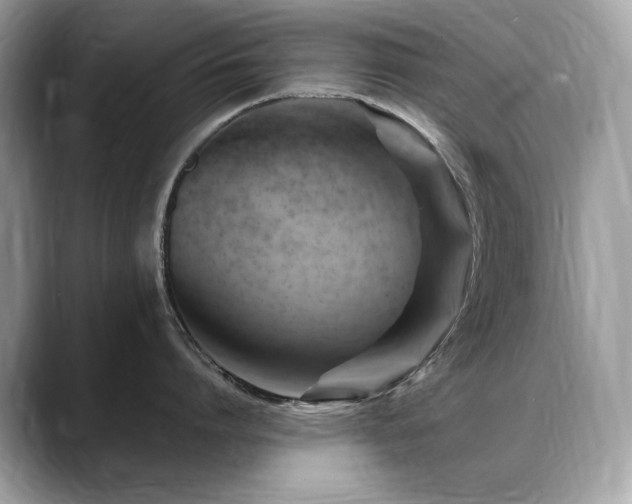 X0000088740864200705311446