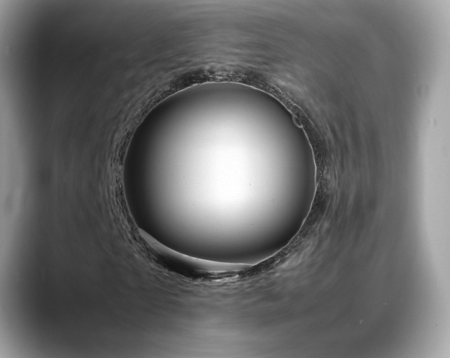 X0000088740865200705311445