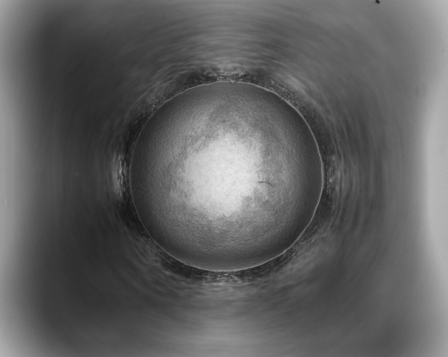 X0000088740866200705311445
