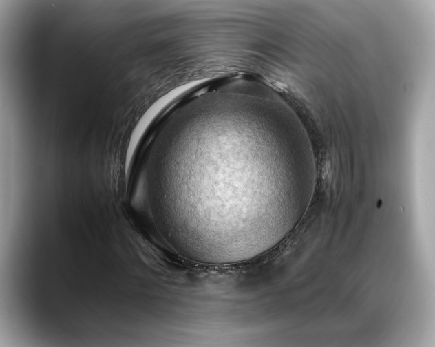 X0000088740868200705311445