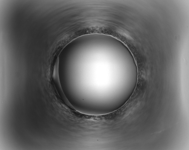 X0000088740869200705311445