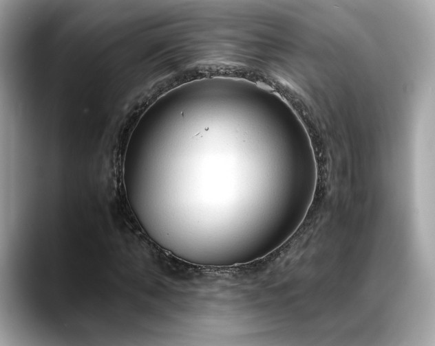 X0000088740870200705311445
