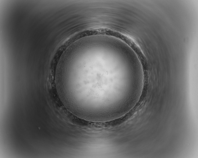 X0000088740871200705311445