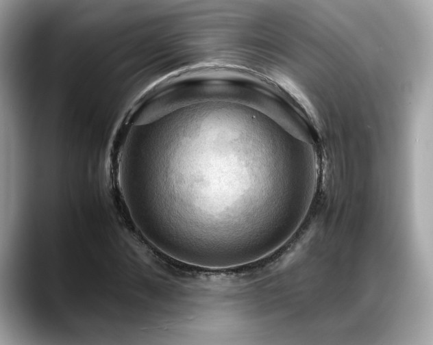 X0000088740876200705311445