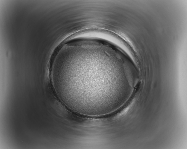 X0000088740877200705311445