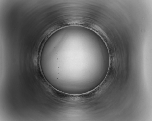 X0000088740882200705311445