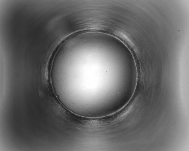 X0000088740883200705311445