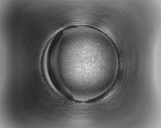 X0000088740885200705311445