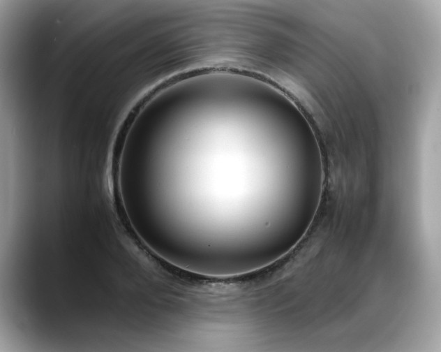 X0000088740888200705311445