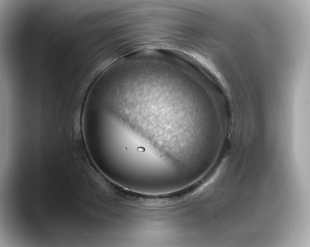 X0000088740889200705311445
