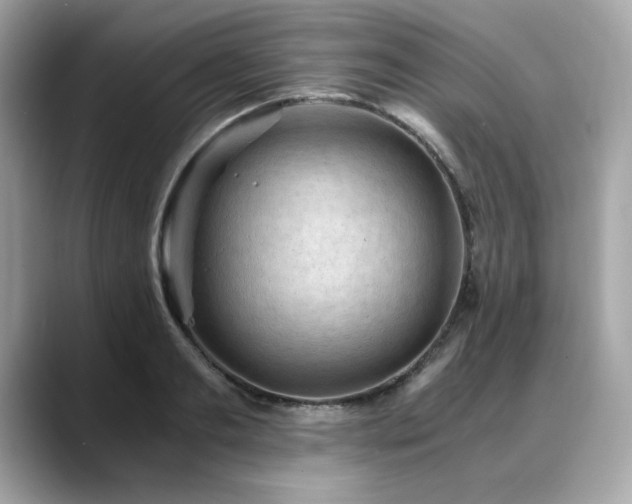 X0000088740893200705311445