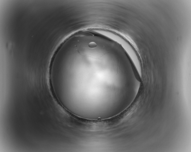 X0000088740895200705311445