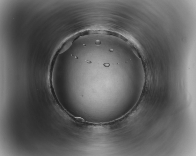 X0000088740896200705311445