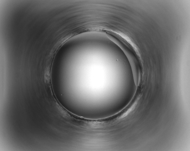 X0000088740897200705311445