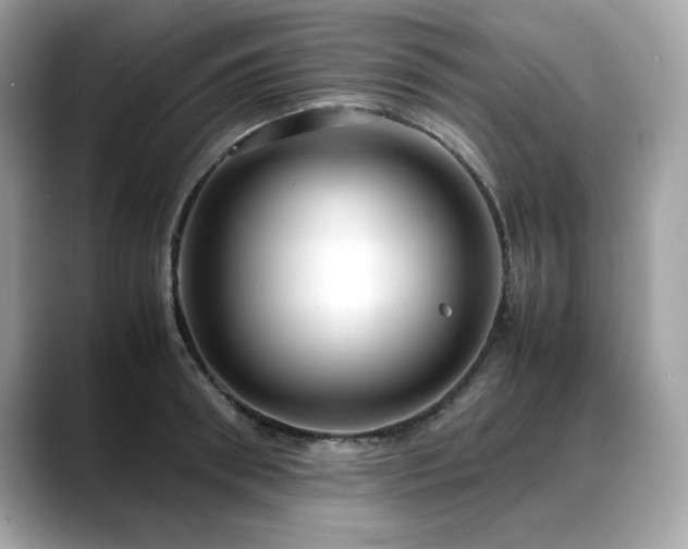 X0000088740898200705311445