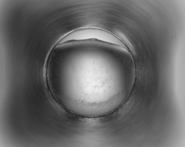 X0000088740900200705311445