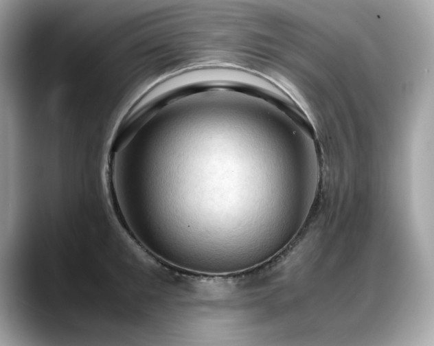 X0000088740901200705311445