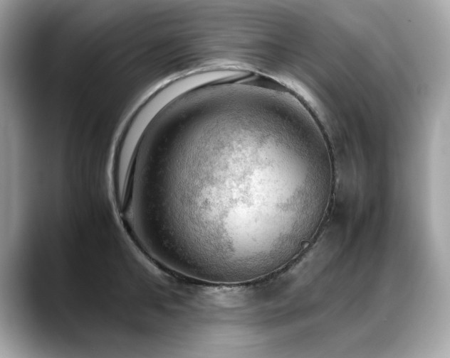 X0000088740902200705311445