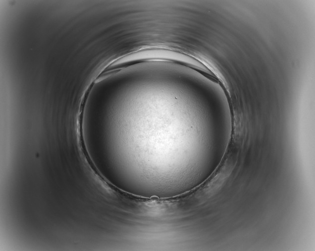X0000088740906200705311445