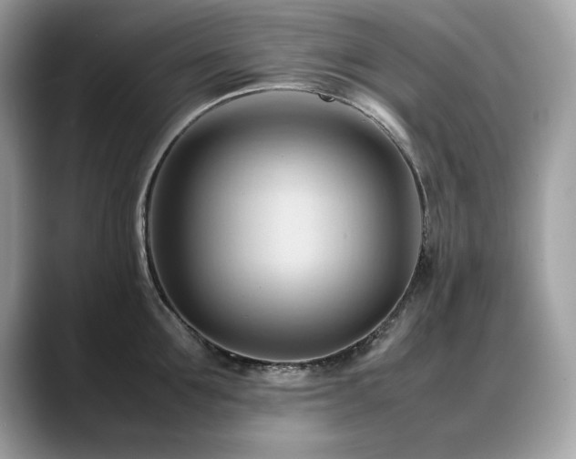 X0000088740907200705311445