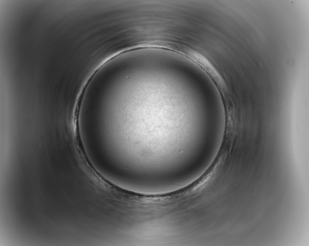 X0000088740908200705311445