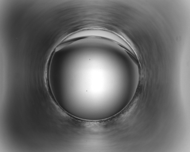 X0000088740909200705311445