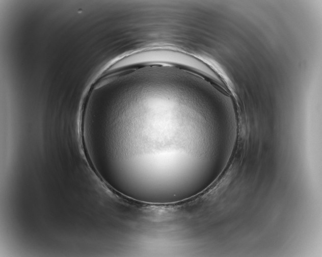 X0000088740910200705311445