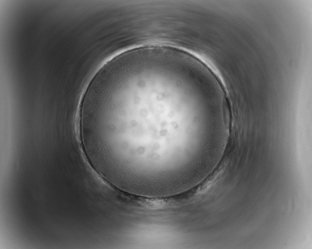 X0000088740911200705311445