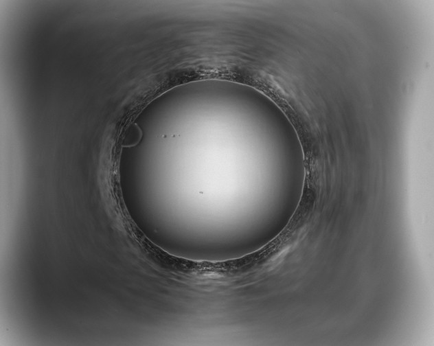 X0000088740913200705311444