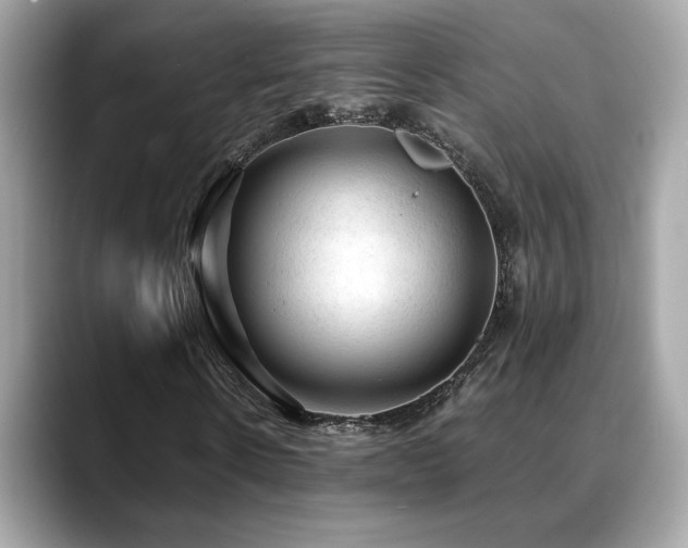 X0000088740914200705311444