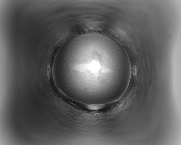 X0000088740915200705311444