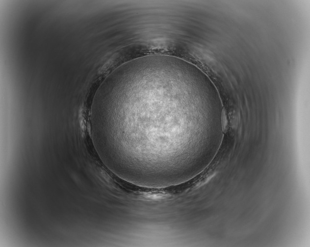 X0000088740916200705311444