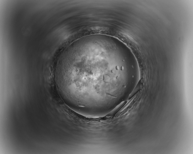 X0000088740917200705311444