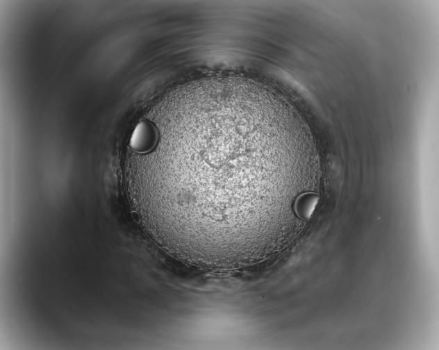 X0000088740918200705311444