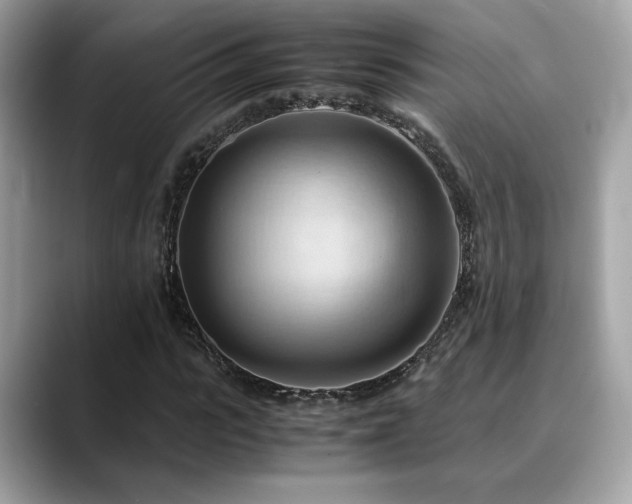 X0000088740919200705311444