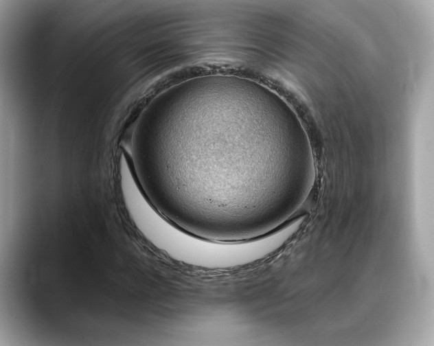 X0000088740920200705311444