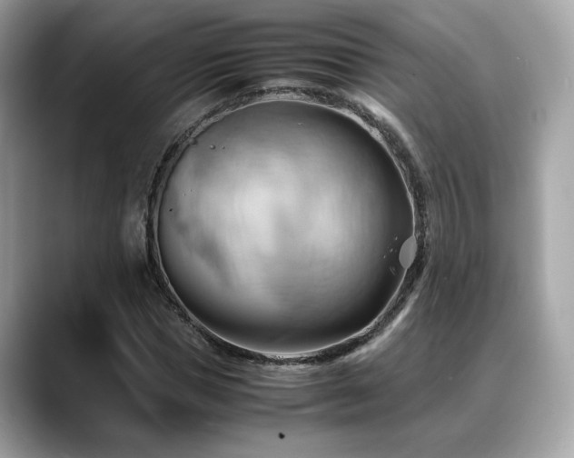 X0000088740921200705311444