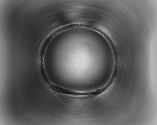 X0000088740923200705311444