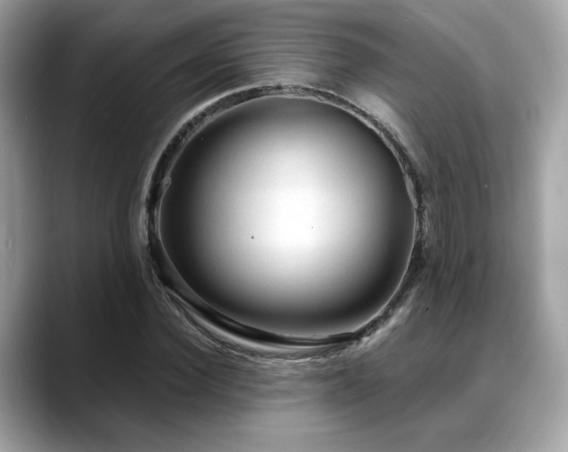 X0000088740924200705311444