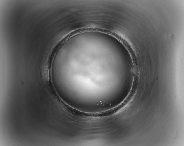 X0000088740925200705311444
