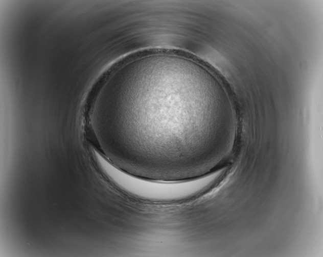 X0000088740926200705311444