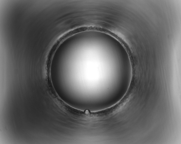 X0000088740927200705311444