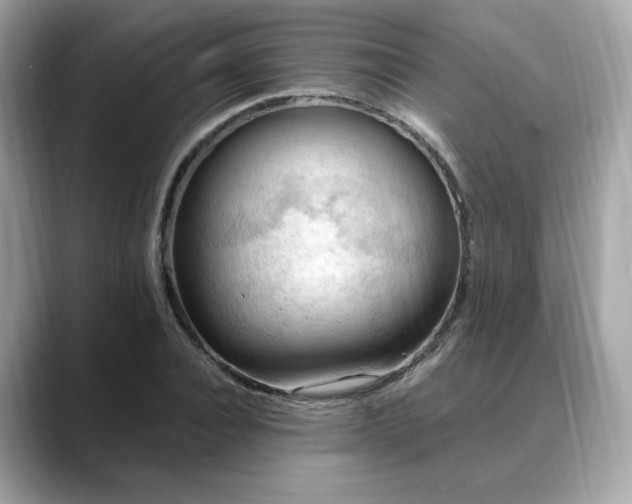 X0000088740928200705311445