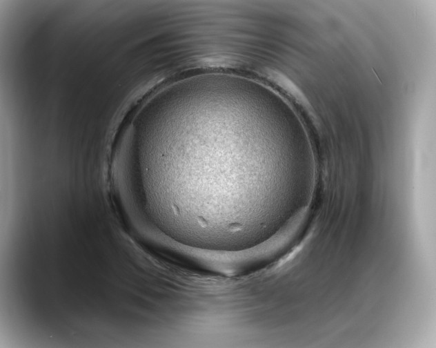 X0000088740930200705311445
