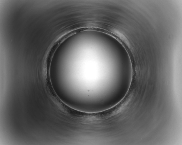 X0000088740931200705311445