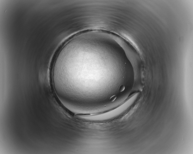 X0000088740932200705311445