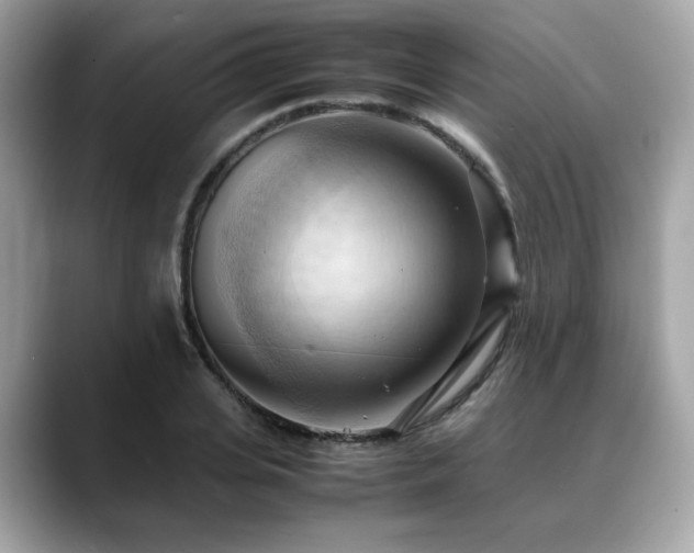 X0000088740935200705311445