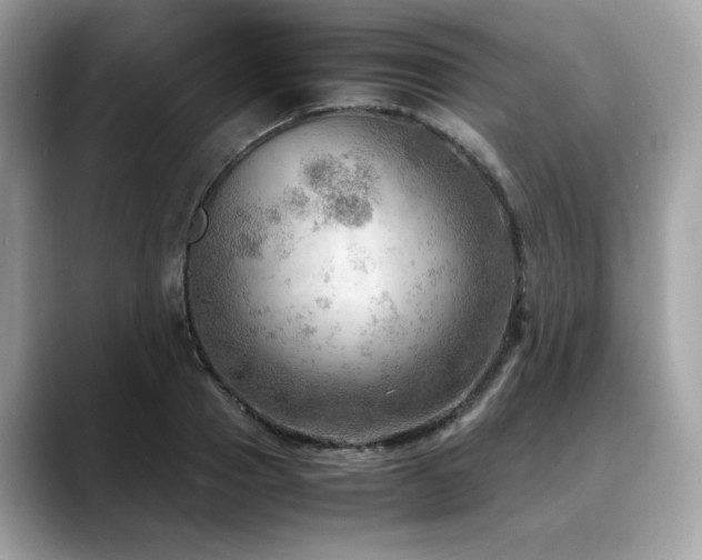 X0000088740937200705311445