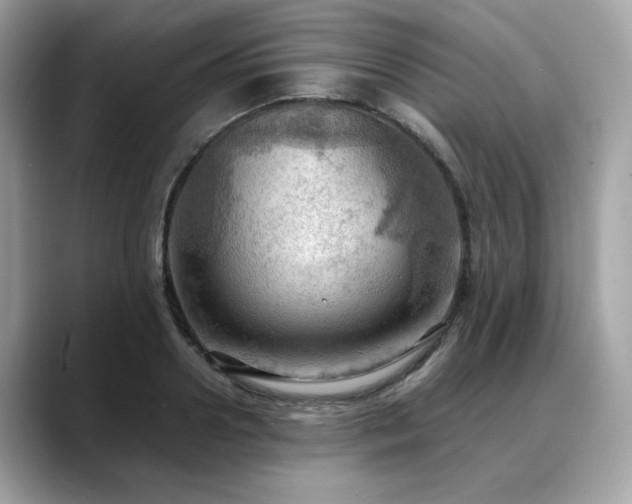 X0000088740938200705311445